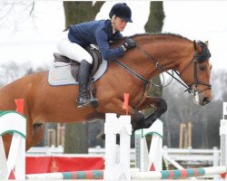 jumper Antaeus (Italian Warmblood, 2008, from Argentinus)