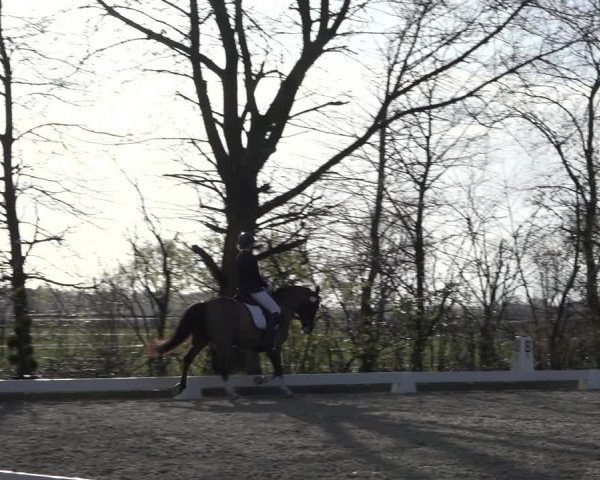Reitturnier Elmlohe 2022