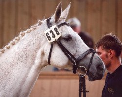 broodmare Emma Emily (Bavarian, 1997, from Exorbitant xx)