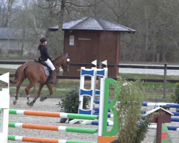 Reitturnier Elmlohe 2022