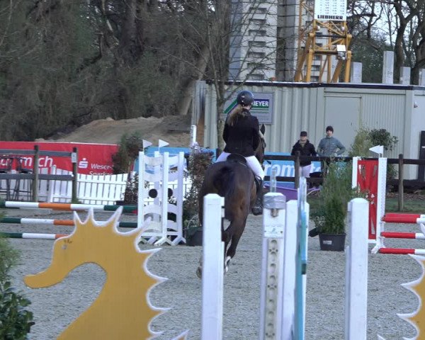 Reitturnier Elmlohe 2022