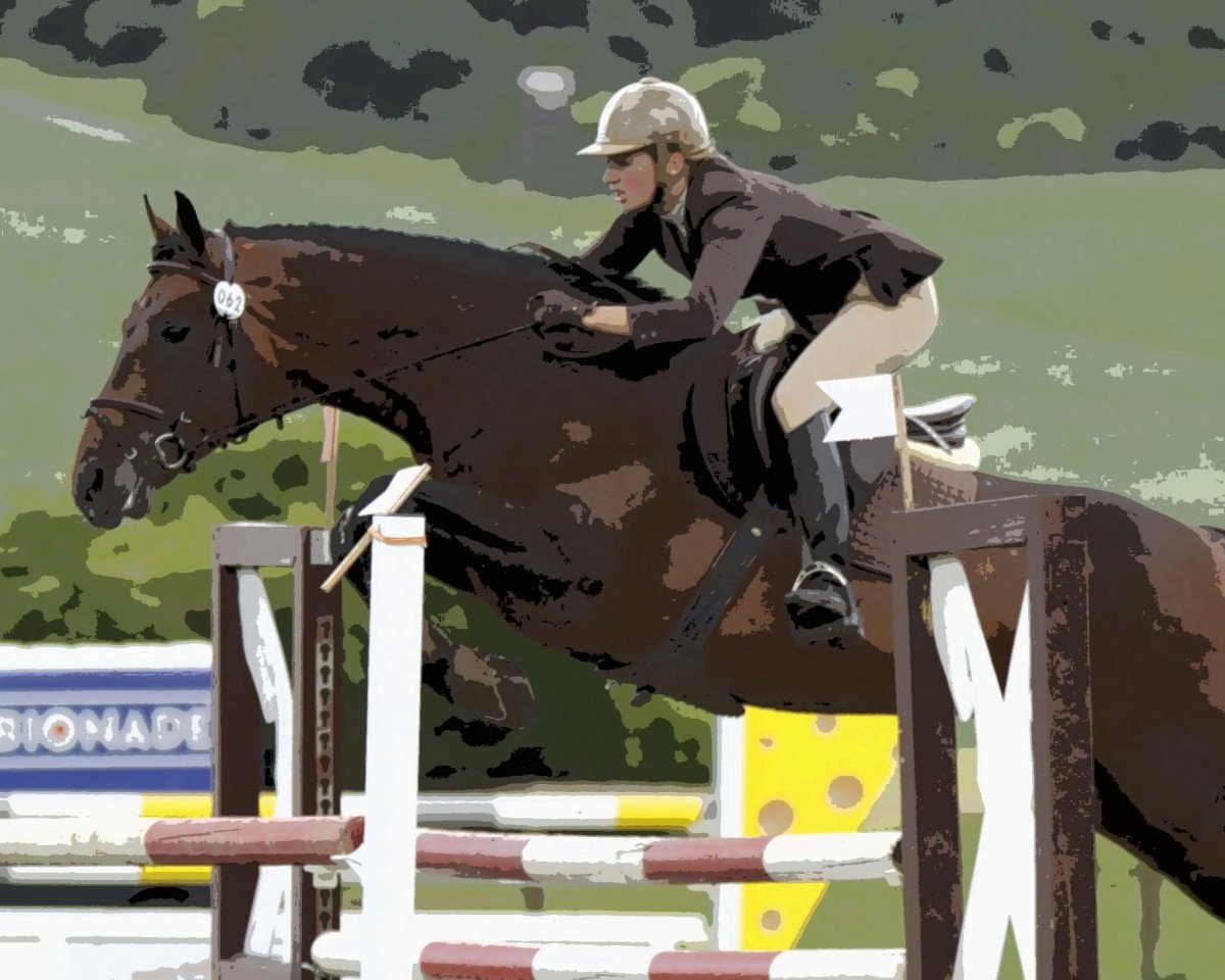 jumper Chaccal (Oldenburg, 2005, from Chacco-Blue)