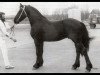 horse Naen 264 (Friese, 1976, from Ferdinand 252)