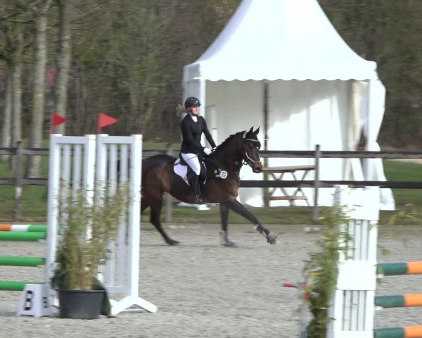 Reitturnier Elmlohe 2022
