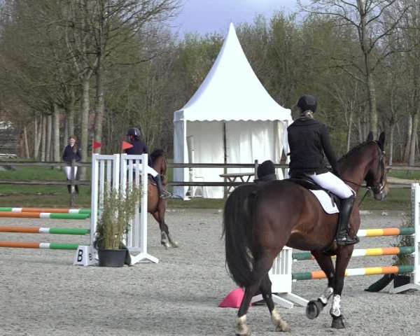 Reitturnier Elmlohe 2022