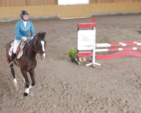 Reitturnier Herrenberg 2022