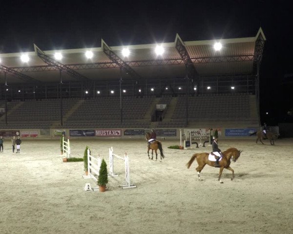 Reitturnier Aachen-Soers 2022
