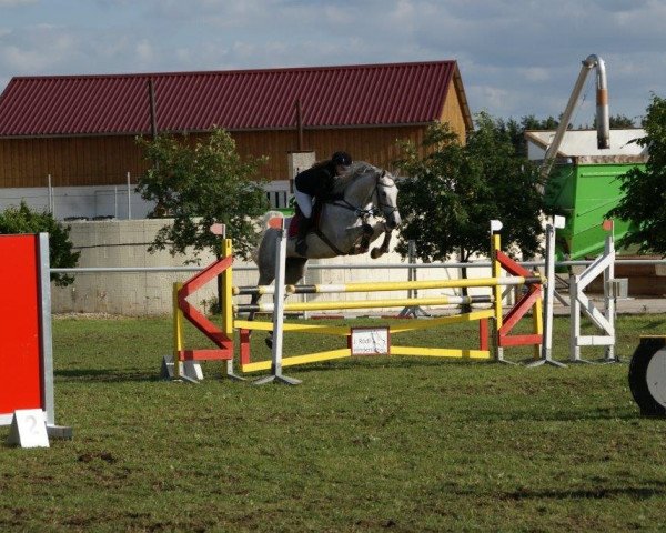broodmare Attika (German Sport Horse, 2005, from Askari)