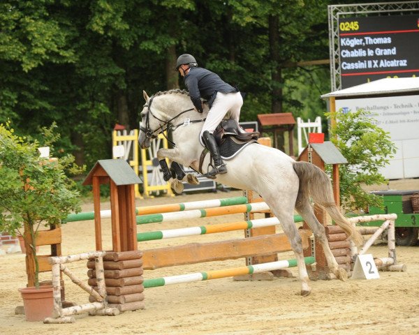 jumper Chablis le Grand (Holsteiner, 2007, from Cassini II)