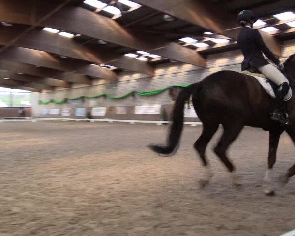 Reitturnier Leverkusen-Rheindorf 2022