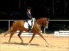 dressage horse Wico (Hanoverian, 2003, from Worldly I)