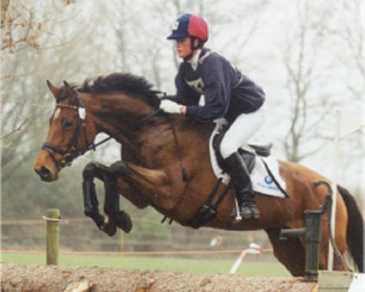 broodmare Keniar (Holsteiner, 1995, from Sunset Boulevard xx)