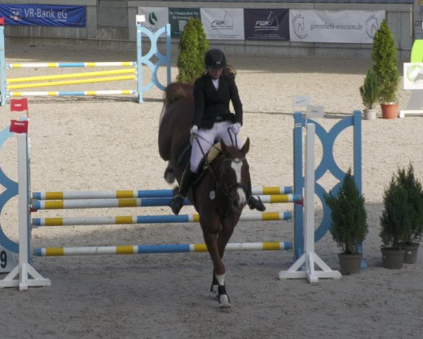 Reitturnier Aachen-Soers 2022