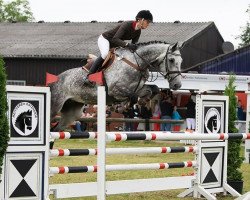 jumper Celotus (Oldenburg show jumper, 2006, from Cento)