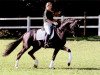 stallion Daramis (Hanoverian, 2000, from De Niro)