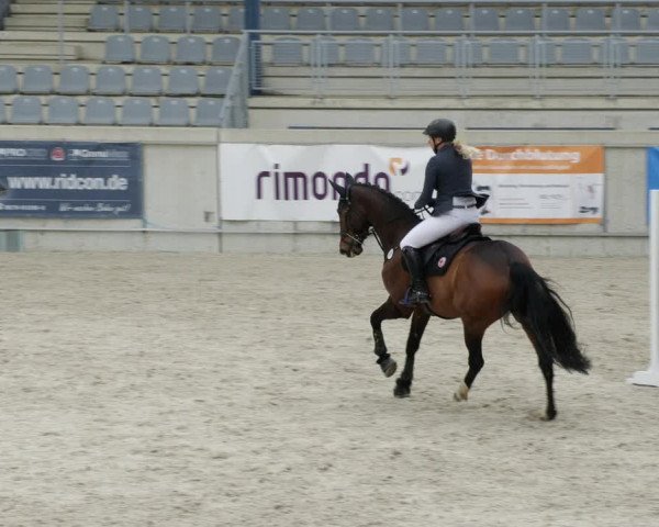 Reitturnier Aachen-Soers 2022