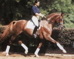 Deckhengst Heslegård's Louis (Dänisches Warmblut, 1992, von Lauries Crusador xx)