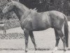 stallion Lund I (Westphalian, 1967, from Lucius xx)