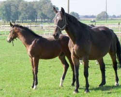 broodmare Larissa (Rhinelander, 1989, from Larome)