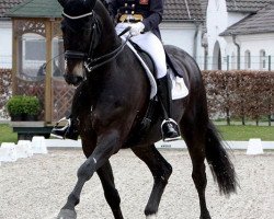 dressage horse Rubicon Unitechno (Rhinelander, 2003, from Rubin Royal OLD)