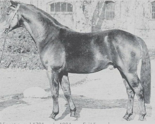 stallion Frühlingstraum I (Westphalian, 1964, from Frühling)