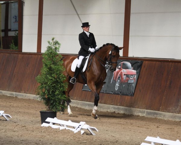 dressage horse Piara (Rhinelander, 2001, from Feuerblick)