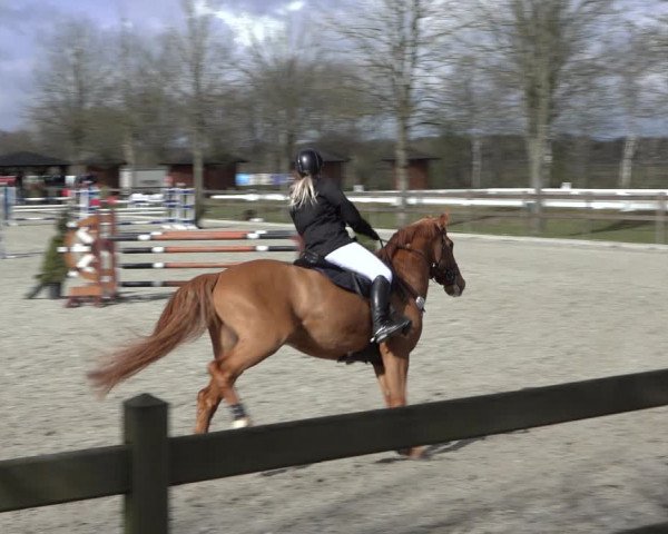 Reitturnier Elmlohe 2022