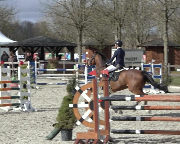 Reitturnier Elmlohe 2022