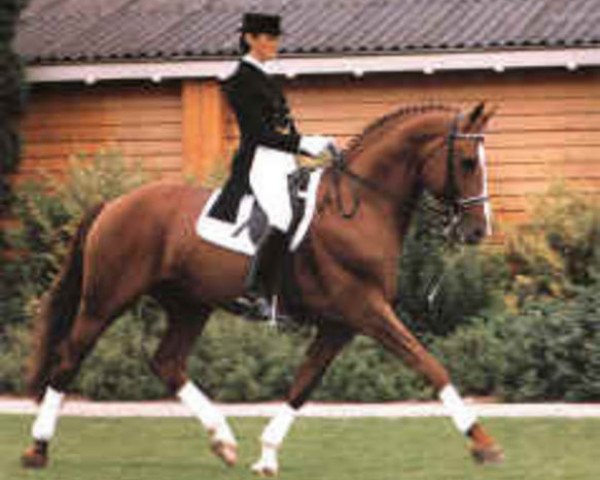 stallion Zonneglans (Royal Warmblood Studbook of the Netherlands (KWPN), 1981, from Le Mexico)