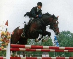 stallion Boston (KWPN (Royal Dutch Sporthorse), 1983, from Ulft)