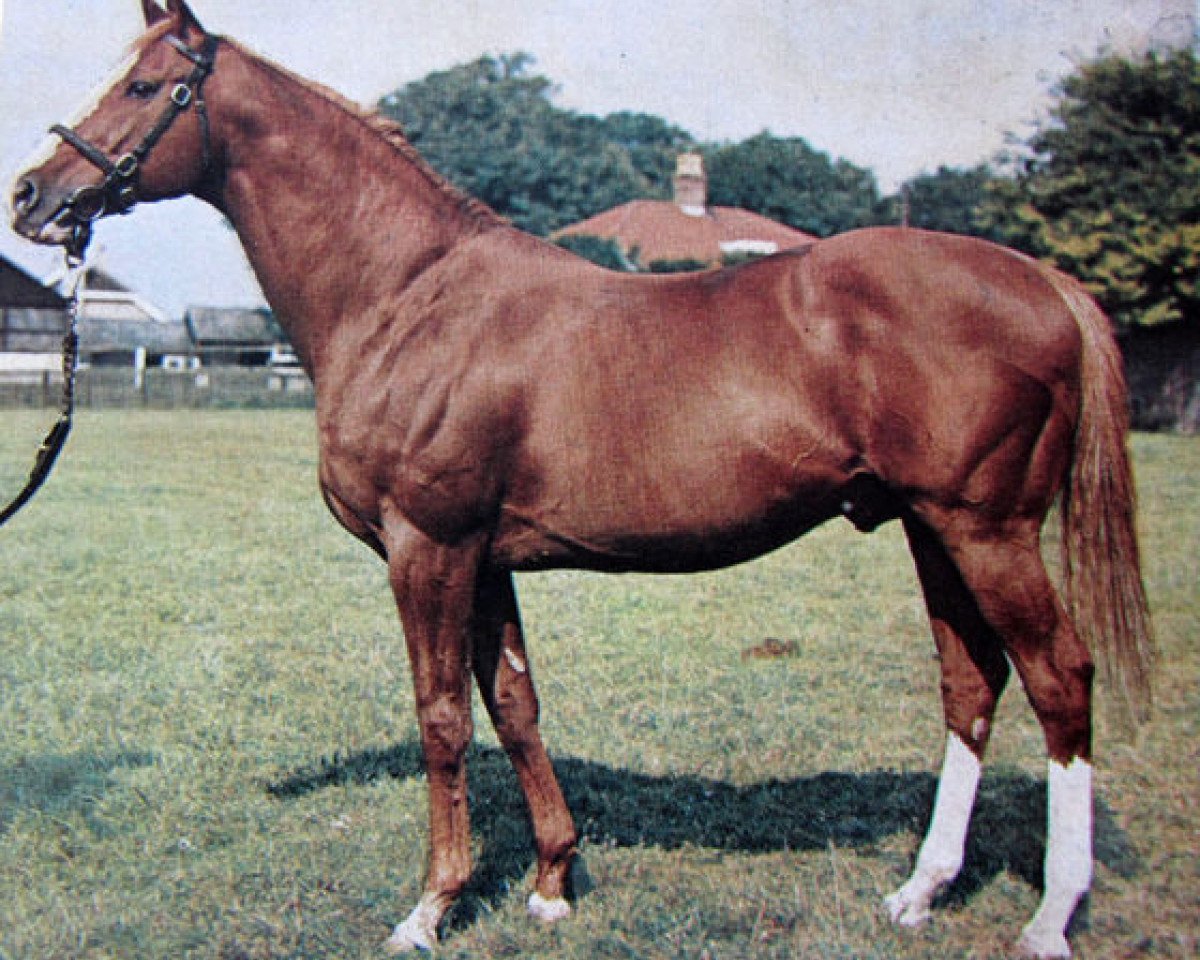 stallion Henry The Seventh xx (Thoroughbred, 1958, from King of the Tudors xx)