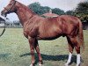 stallion Henry The Seventh xx (Thoroughbred, 1958, from King of the Tudors xx)