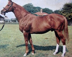 stallion Henry The Seventh xx (Thoroughbred, 1958, from King of the Tudors xx)