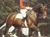 Pferd Welt As (Oldenburger, 1977, von Weltmeister)