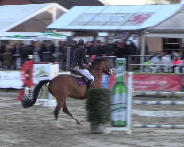 Lenklarer Reitertage 2022 (Werne)