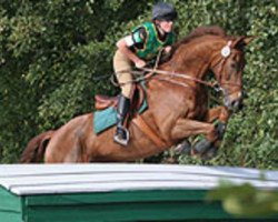 dressage horse Dublin Lights (Irish Sport Horse, 1999, from Paris Lights)