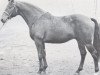 stallion Stanley (Holsteiner, 1970, from Sable Skinflint xx)