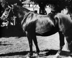 broodmare Enniskeane Countess (unknown, 1961, from Glen Lad)