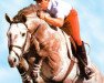 horse Spartan (Hanoverian, 1982, from Servus)