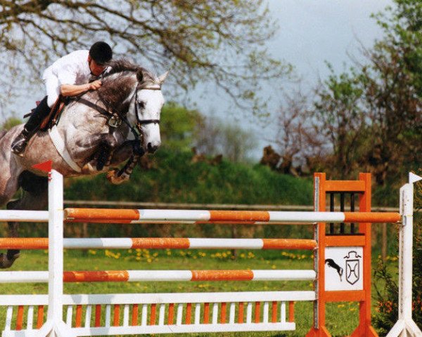stallion Avero (Holsteiner, 1993, from Athlet Z)