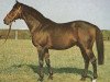 stallion Soderini xx (Thoroughbred, 1961, from Crepello xx)