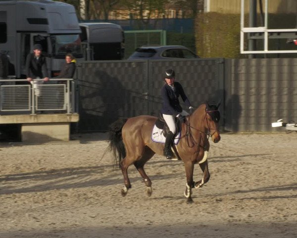 Reitturnier Aachen-Soers 2022
