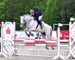 jumper Lucky (Luxembourg Pony, 1996, from Colway Bold xx)