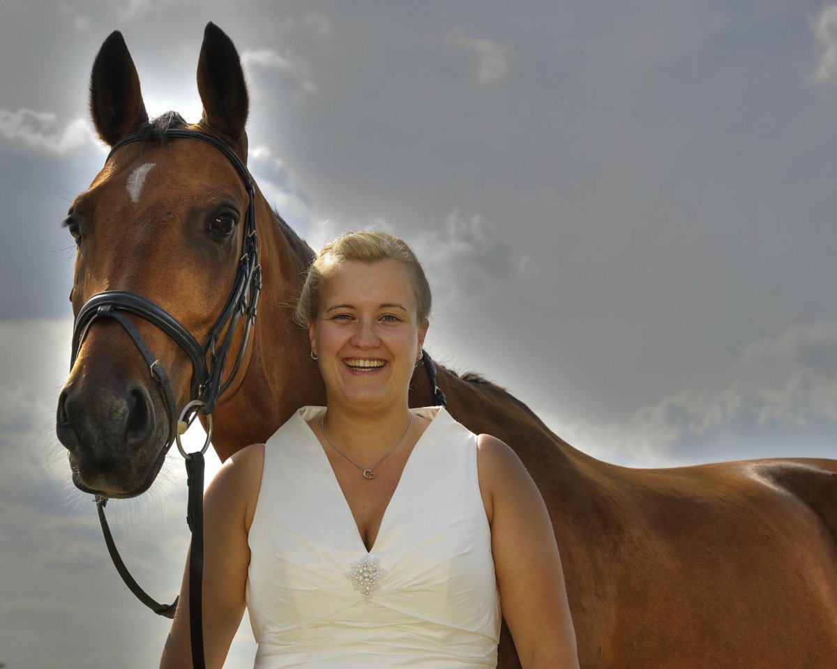 horse Paddymonn (Westphalian, 1997, from Pit I)