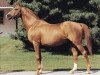 stallion Le Fabuleux xx (Thoroughbred, 1961, from Wild Risk xx)