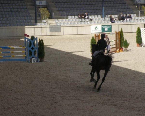 Reitturnier Aachen-Soers 2022