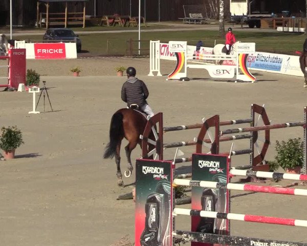 Reitturnier Westergellersen 2022