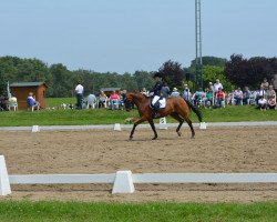 dressage horse Figo Fedor (Zweibrücken, 2004, from Florentianer)