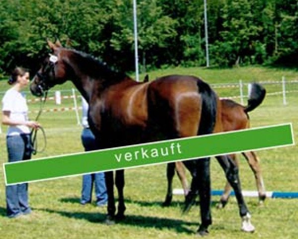 broodmare Larissa (Württemberger, 1999, from Lanthano)