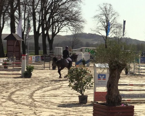 Lenklarer Reitertage 2022 (Werne)